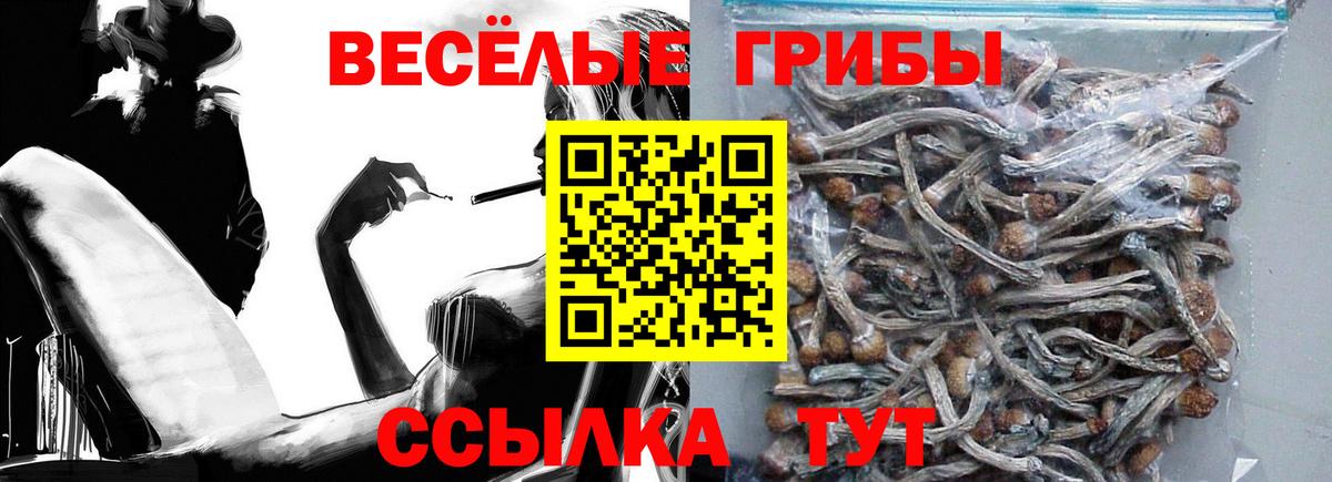 Галлюциногенные грибы GOLDEN TEACHER Тихорецк